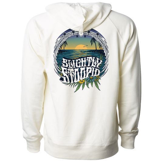 Up On A Plane Hoodie