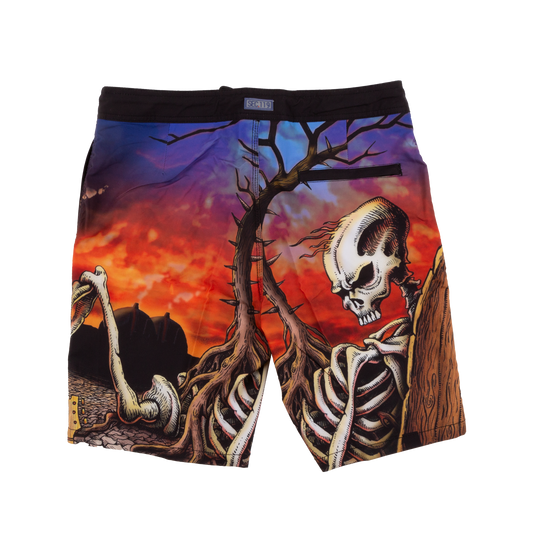 Slightly Stoopid x Section 119 Closer To The Sun Board Shorts