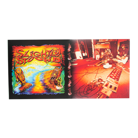 Everything You Need - Sunburst Vinyl