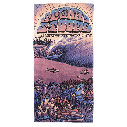 How I Spent My Summer Vacation 2019 Towel