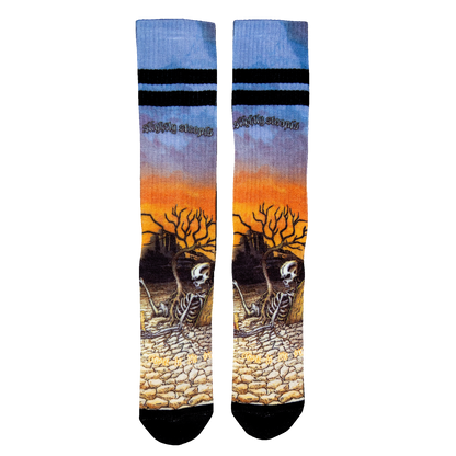 Slightly Stoopid X Dixxon CTTS Crew Socks