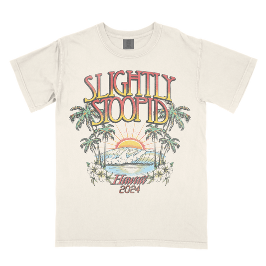 Hawaii 2024 Vintage Summer Beach Tee