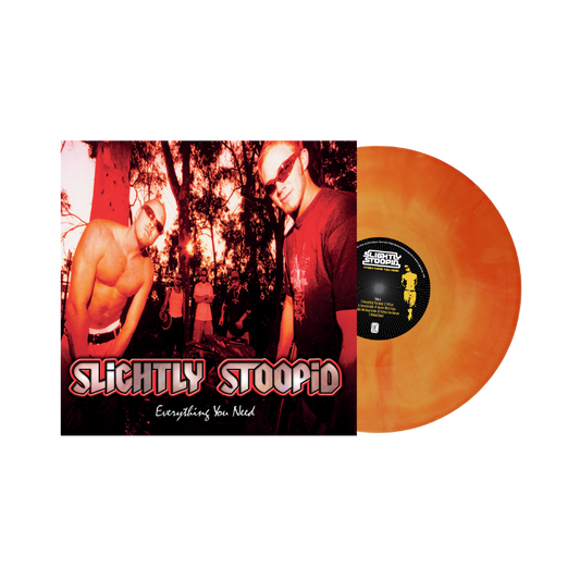 Everything You Need - Sunburst Vinyl