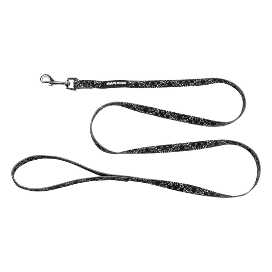 Small Dog Collar and Small Leash Bundle