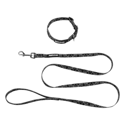 Small Dog Collar and Small Leash Bundle
