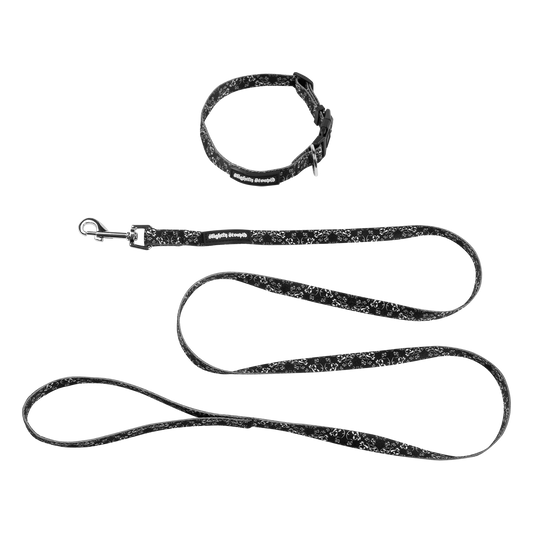 Small Dog Collar and Small Leash Bundle